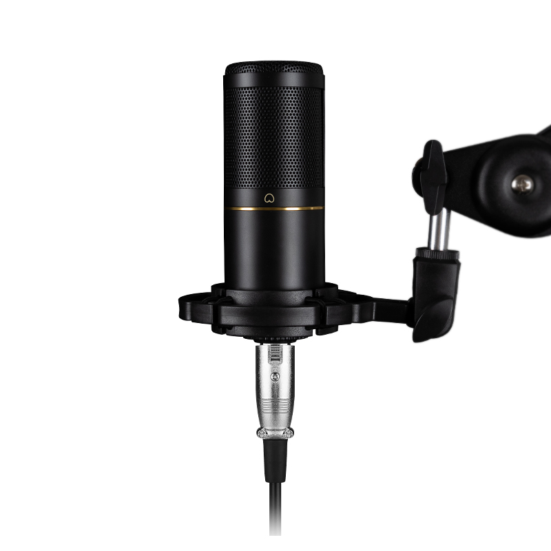 Streaming Mic Condenser - Profesjonalny mikrofon pojemnościowy XLR do podcastów,